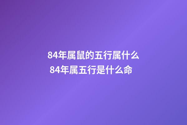 84年属鼠的五行属什么 84年属五行是什么命-第1张-观点-玄机派